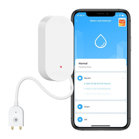 Détecteur de fuite d'eau intelligent