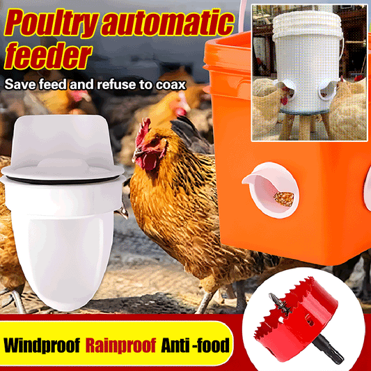 موزع علف للدجاج 8 قطع